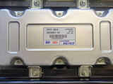 2016-2020 Hyundai Sonata/Kia Optima 360V Plug-In Hybrid Battery - Sub