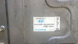 2016-2020 Hyundai Sonata/Kia Optima 360V Plug-In Hybrid Battery - Main